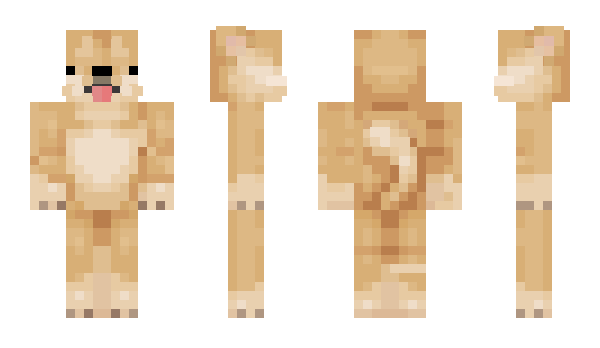 Minecraft skin Zohok