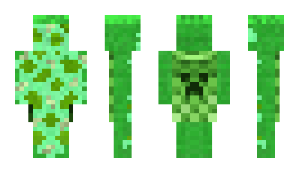 Minecraft skin sltu