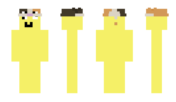 Minecraft skin duvm