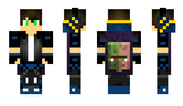 Minecraft skin Arten