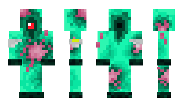 Minecraft skin ZeeNeppoy