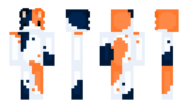 Minecraft skin Captain_Jens