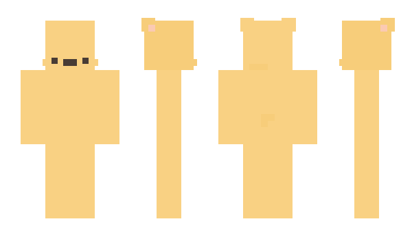 Minecraft скин по нику bro_0