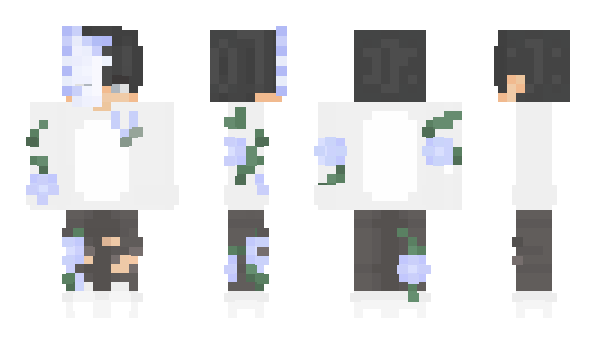 Minecraft skin Zeikerr