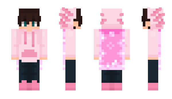 Minecraft skin AxolotlGuy7