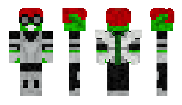 Minecraft skin Tokum