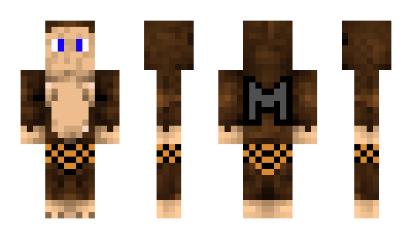 Minecraft skin alin11tl