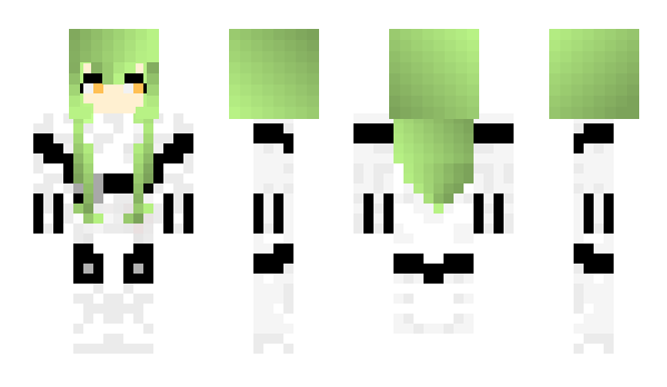 Minecraft skin Noskeleton
