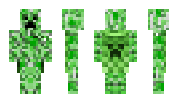 Minecraft skin Lioket