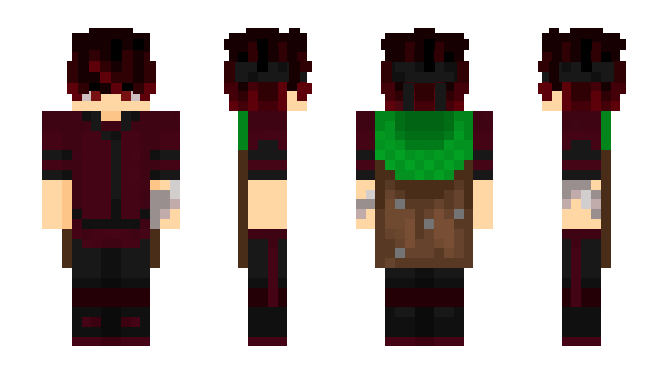 Minecraft skin D3imos5095