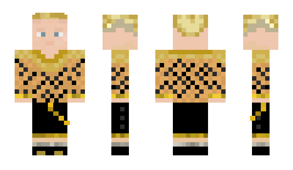 Minecraft skin MinkLink