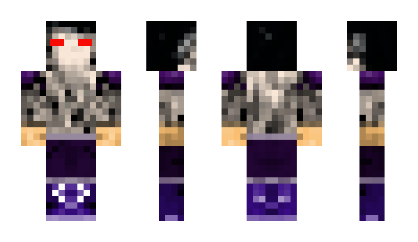 Minecraft skin PLTN