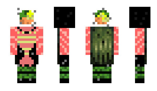 Minecraft skin Sushli