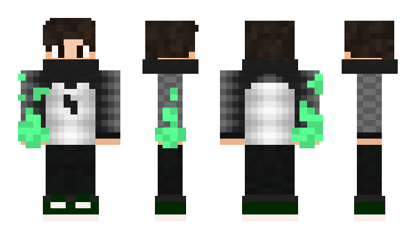 Minecraft skin Verliernix