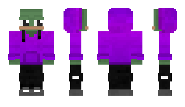 Minecraft skin Passer