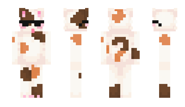 Minecraft skin sk0sp