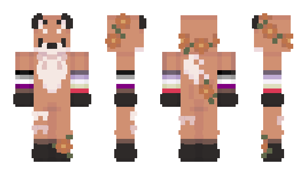 Minecraft skin amnsnb
