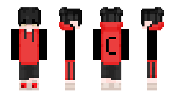 Minecraft skin modn