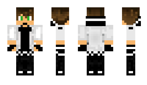 Minecraft skin Qul1et