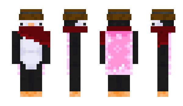 Minecraft skin Sxndbox