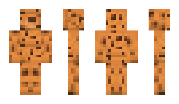 Minecraft skin SogeBiccy