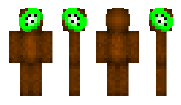 Minecraft skin kiwiyou