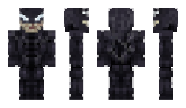 Minecraft skin WGAM