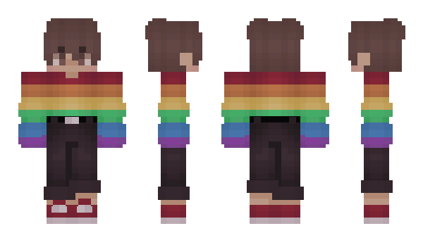 Minecraft skin reichik