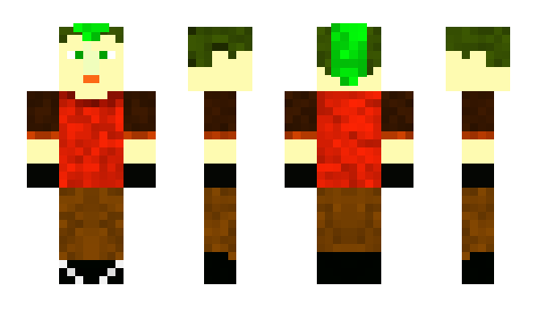 Minecraft skin tomik13