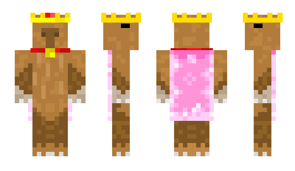Minecraft skin capybaraarmy