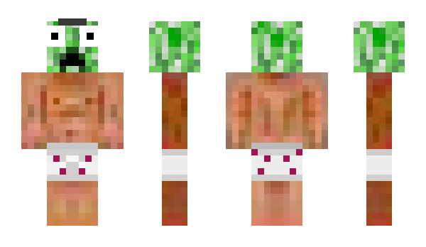 Minecraft skin swiftie555