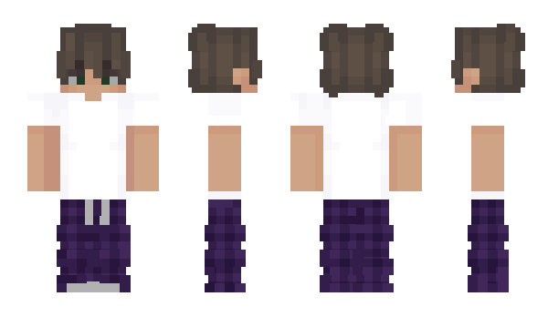 Minecraft skin Walibear8512