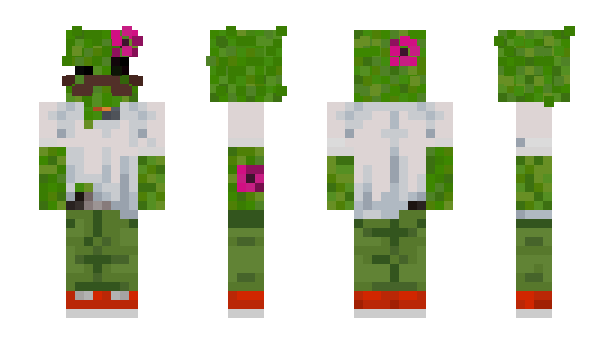 Minecraft skin Axs1r1337