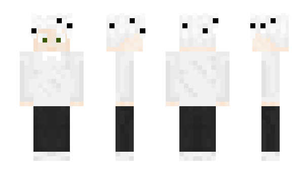 Minecraft skin gemel