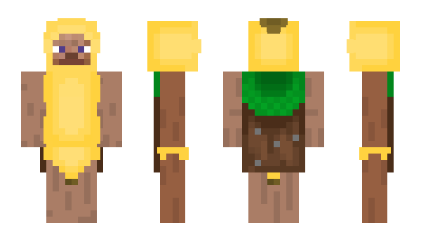 Minecraft skin karkade228