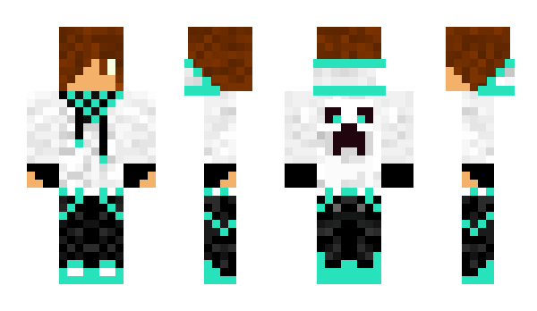 Minecraft skin ozan2959