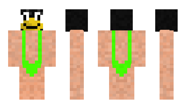 Minecraft skin Alter