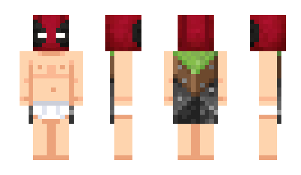 Minecraft skin Caskyll