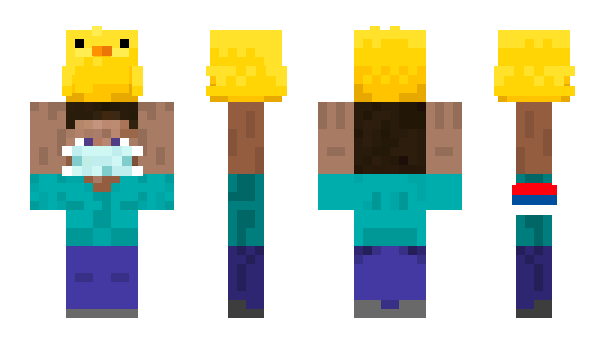 Minecraft skin NPCNPC