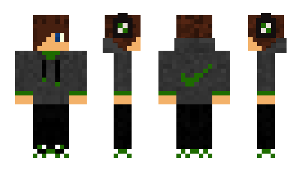 Minecraft skin spiderpig40