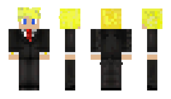 Minecraft skin Project_Manager
