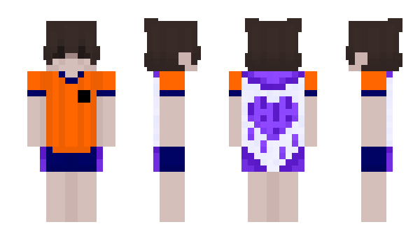 Minecraft skin L1qm