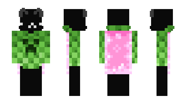 Minecraft skin TagSilverr