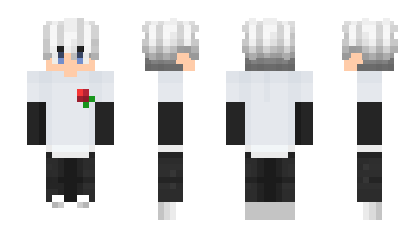 Minecraft skin WinBu