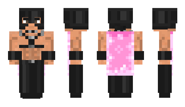 Minecraft skin Full_master_Van