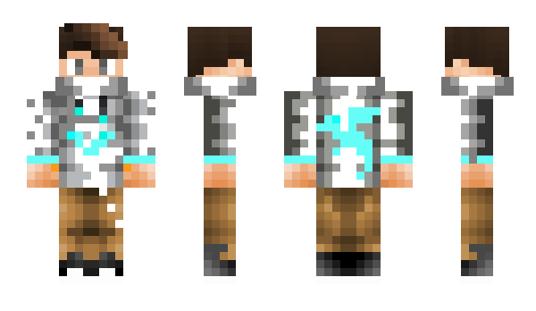 Minecraft skin Nowid