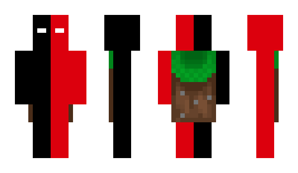 Minecraft скин по нику RaulLannna