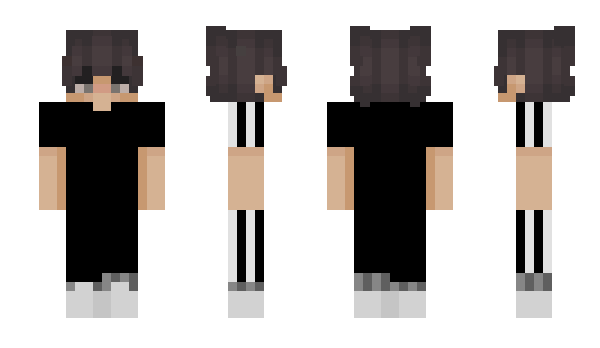 Minecraft skin Veniger