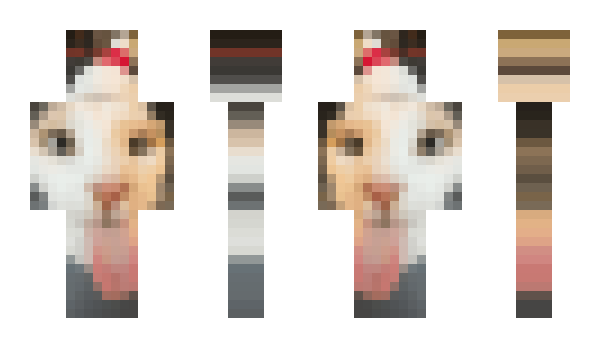 Minecraft скин по нику Lzxcvb