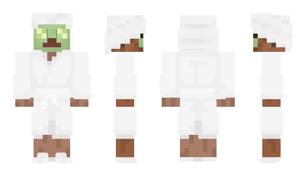 Minecraft skin esthetician